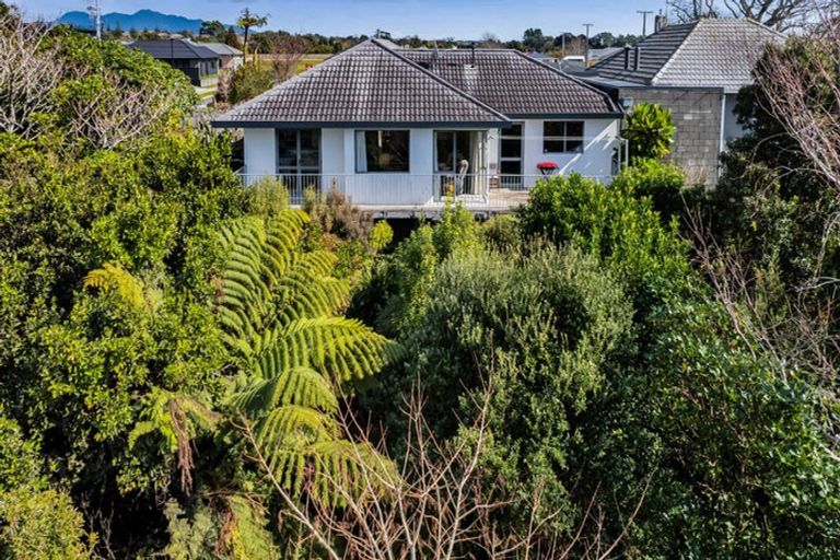 Photo of property in 217 Carrington Street, Vogeltown, New Plymouth, 4310
