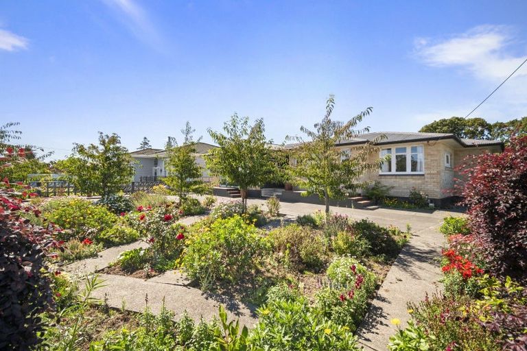Photo of property in 129 Tutaenui Road, Marton, 4710