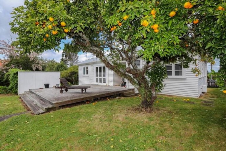 Photo of property in 115 Cambridge Road, Hillcrest, Hamilton, 3216