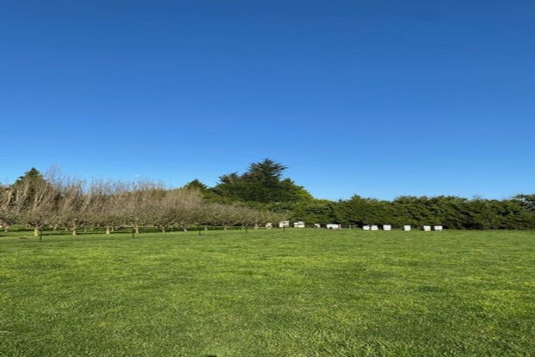 Photo of property in 80 Carters Terrace, Tinwald, Ashburton, 7700