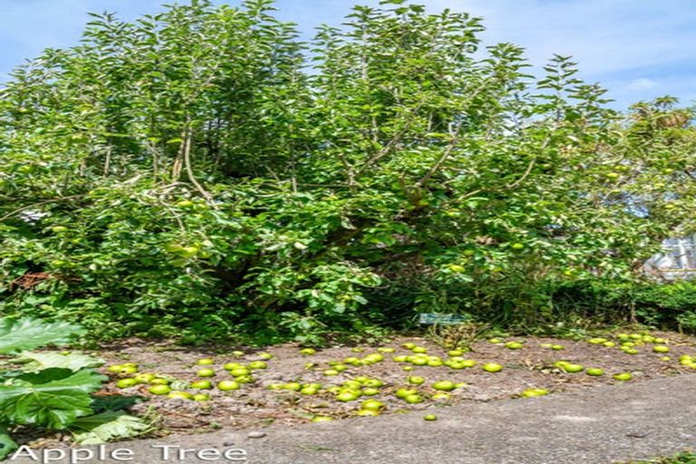 Photo of property in 52 Shakespeare Avenue, Trentham, Upper Hutt, 5018