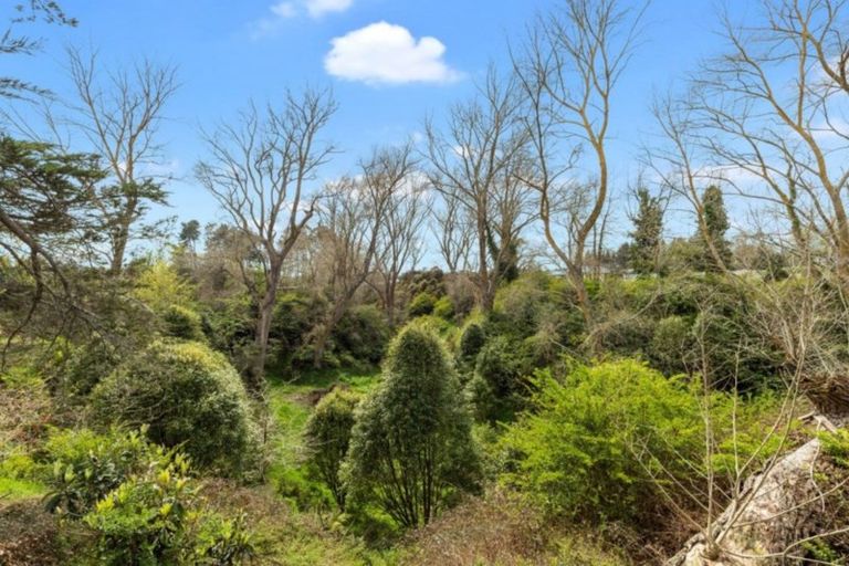 Photo of property in 8 Platinum Place, Tamahere, Hamilton, 3283