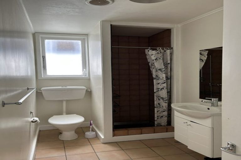 Photo of property in 52 Wright Street, Mount Cook, Wellington, 6021