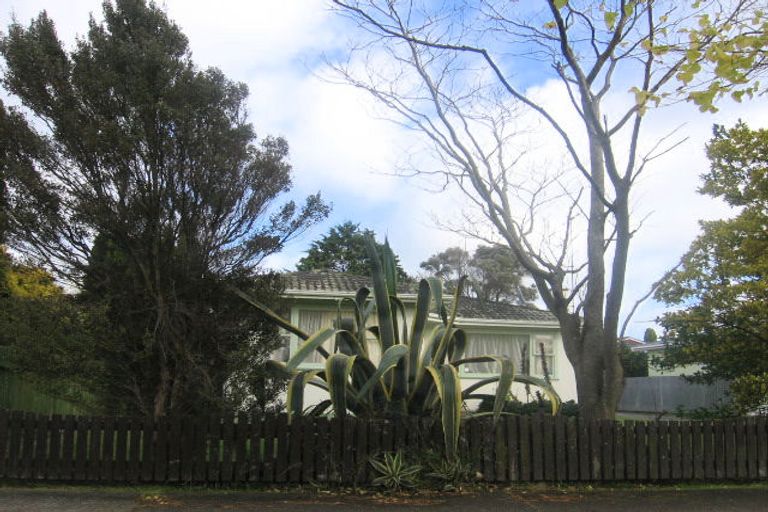 Photo of property in 58 Birmingham Street, Takaro, Palmerston North, 4412