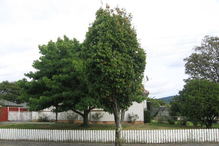 Photo of property in 14 Massey Street, Elderslea, Upper Hutt, 5018