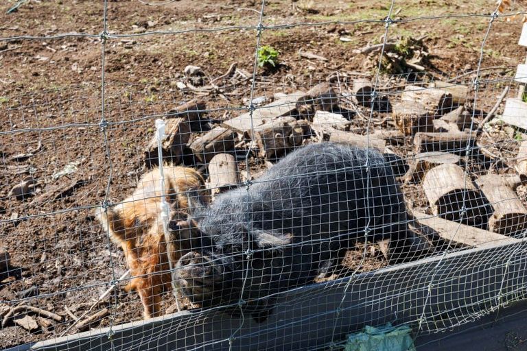 Photo of property in 763 Oroua Valley Road, Apiti, 4771