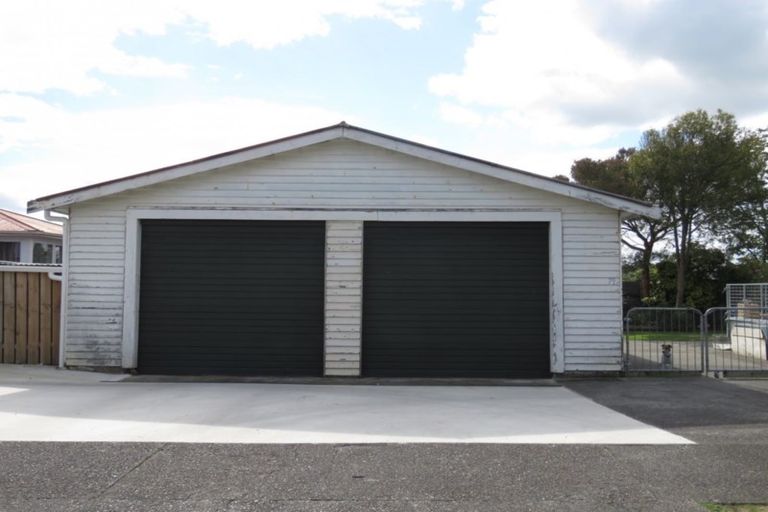 Photo of property in 79 Tiro Tiro Road, Levin, 5510