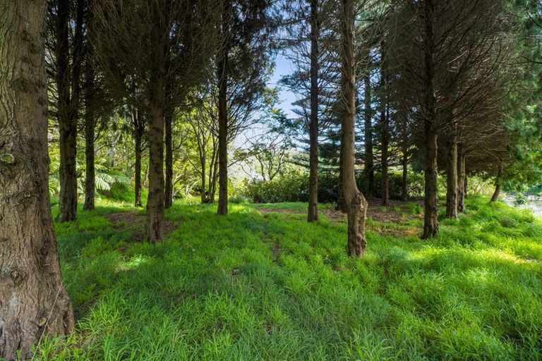 Photo of property in 331a Mangorei Road, Merrilands, New Plymouth, 4312