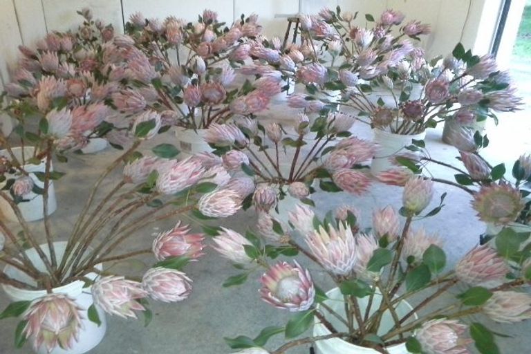 Photo of property in 12 Kaikatia Road, Pukenui, 0484