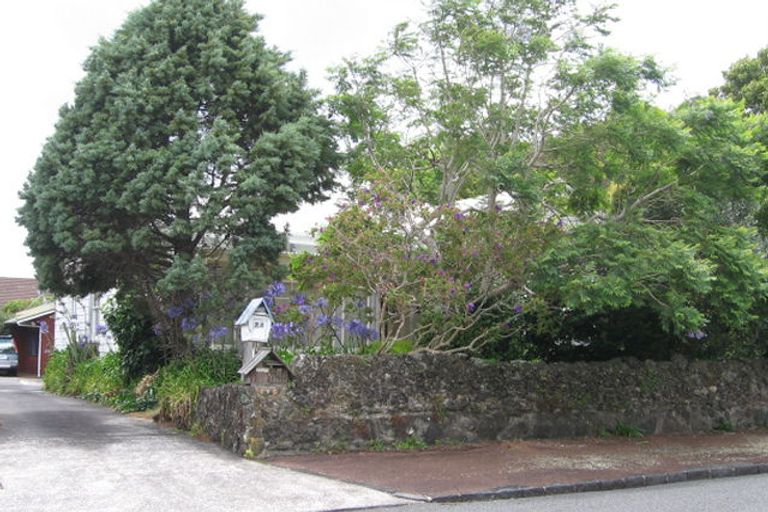 Photo of property in 74a Disraeli Street, Epsom, Auckland, 1023