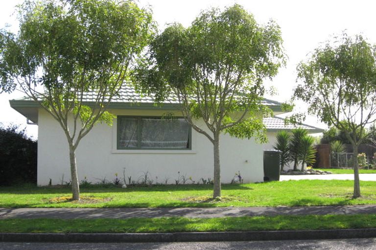 Photo of property in 13 Homewood Avenue, Levin, 5510