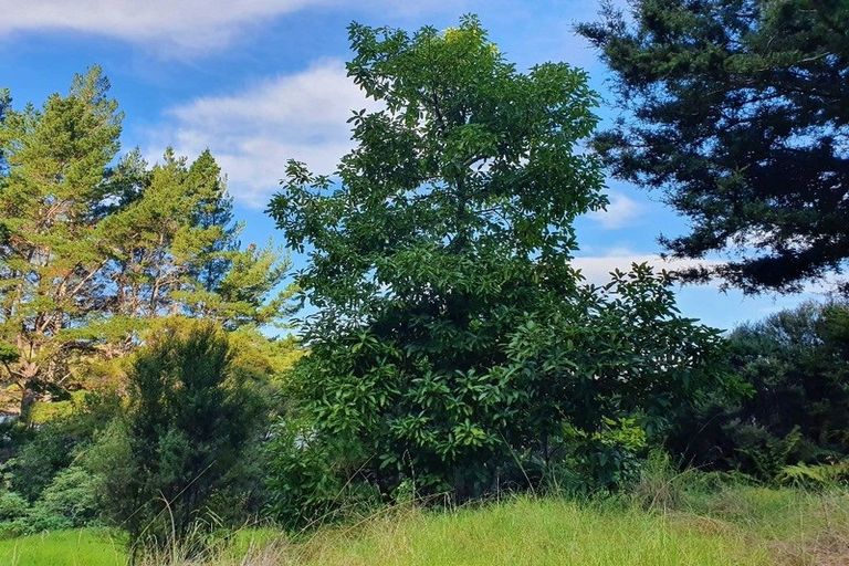 Photo of property in 205 Smith Deviation Road, Kohukohu, 0491