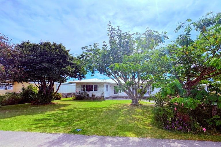 Photo of property in 48 Apatu Street, Wairoa, 4108