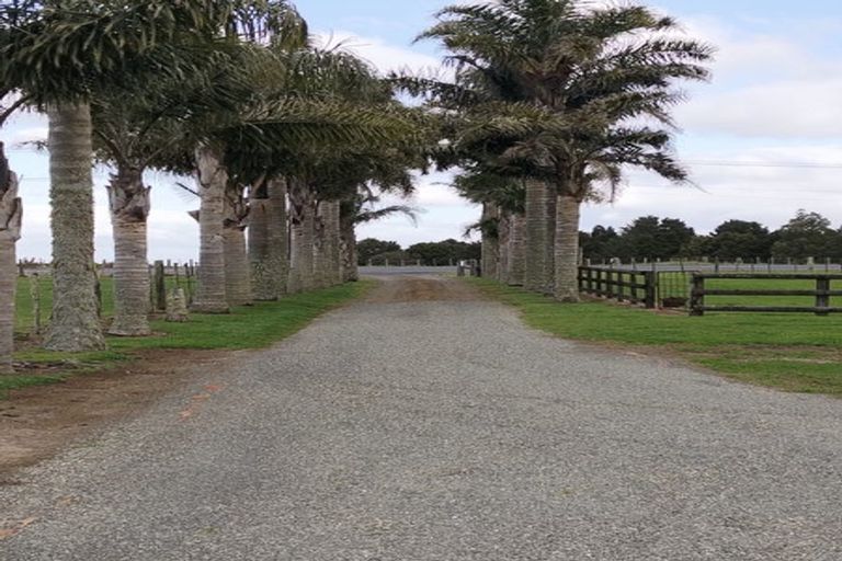 Photo of property in 565 Waiare Road, Okaihau, 0475