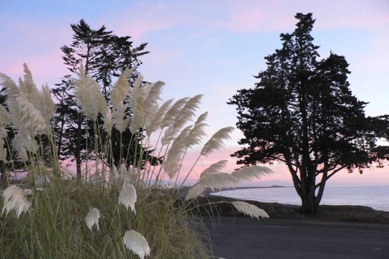 Photo of property in 23-25 South Street, Kensington, Timaru, 7910