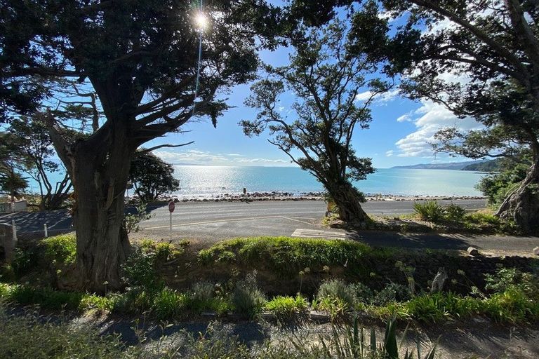 Photo of property in 686 Thames Coast Sh25 Road, Ruamahunga, Thames, 3575