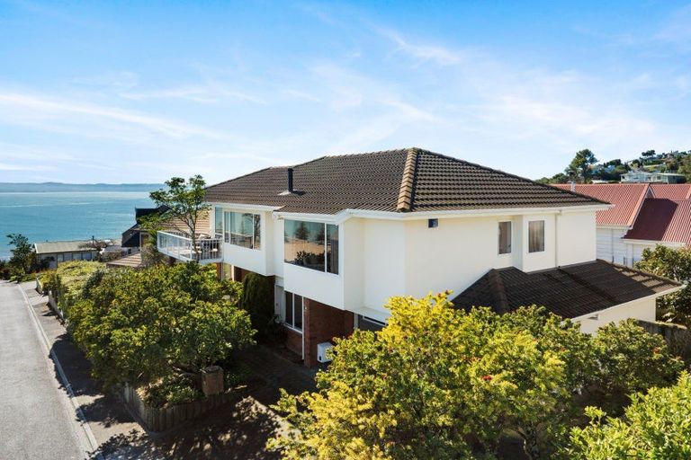 Photo of property in 19 Roslyn Road, Bluff Hill, Napier, 4110