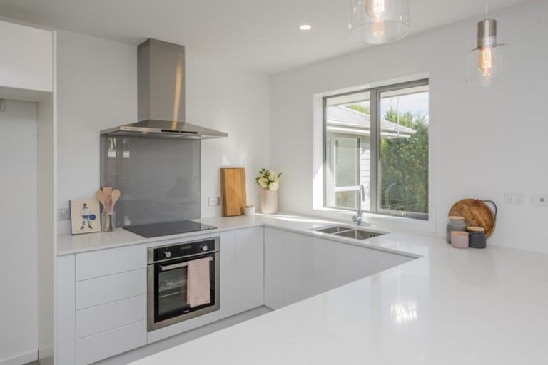 Photo of property in 25 Barry Curtis Place, Levin, 5510