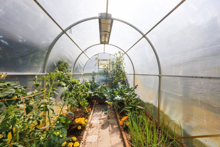 Photo of property in 851 Milson Line, Newbury, Feilding, 4775