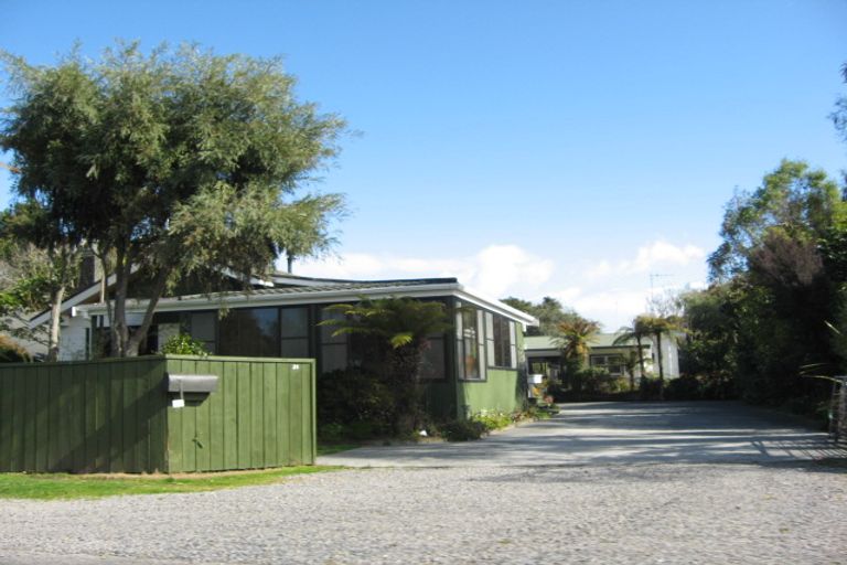 Photo of property in 29 Te Heuheu Parade, Tauranga Taupo, Turangi, 3382