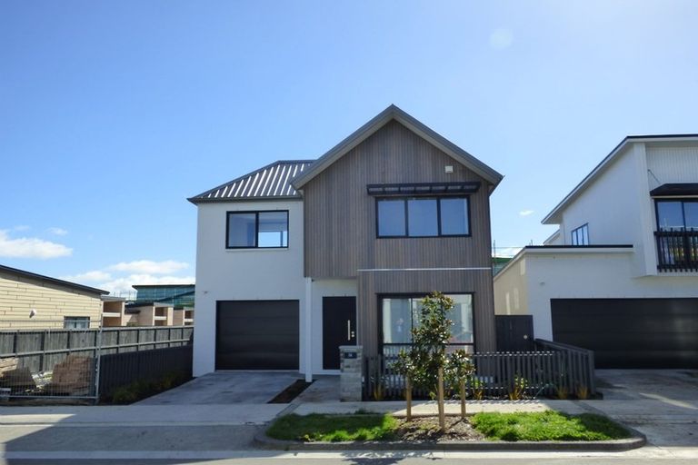 Photo of property in 14 Grey Warbler Road, Hobsonville, Auckland, 0616