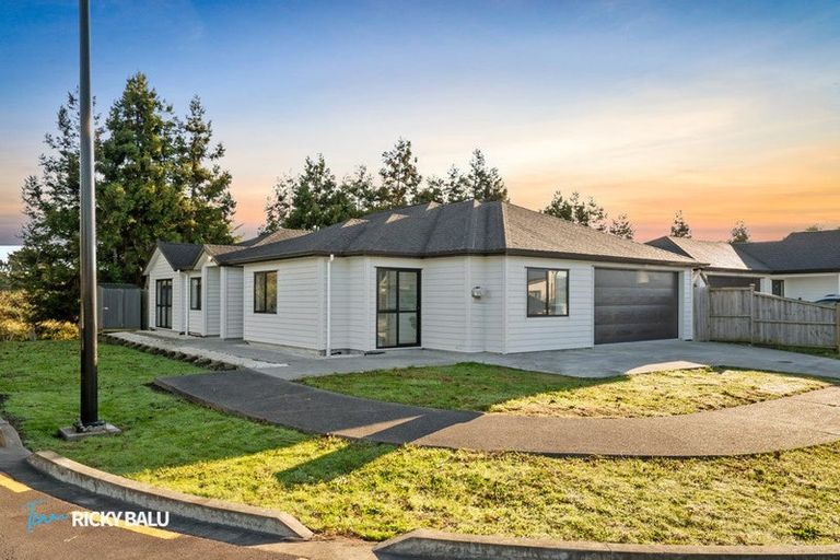 Photo of property in 17 Hard Beech Street, Takanini, 2110