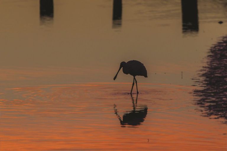 Photo of property in 116 Queens Road, Waikanae Beach, Waikanae, 5036