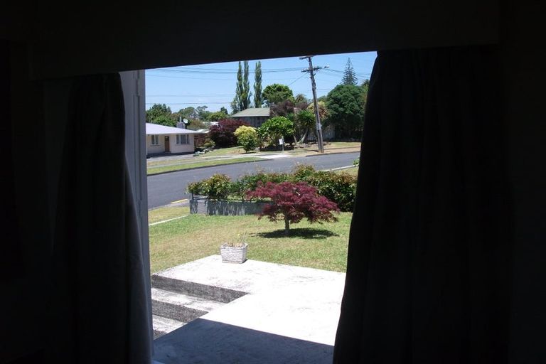 Photo of property in 8 Wilson Avenue, Avenues, Whangarei, 0110