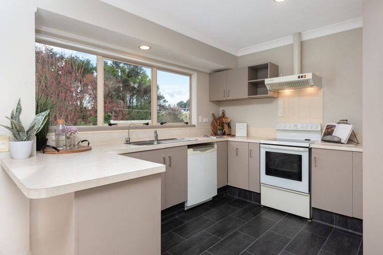 Photo of property in 1 Marshall Avenue, Greerton, Tauranga, 3112