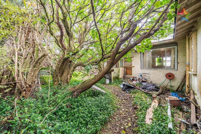 Photo of property in 76 Knights Road, Hutt Central, Lower Hutt, 5010