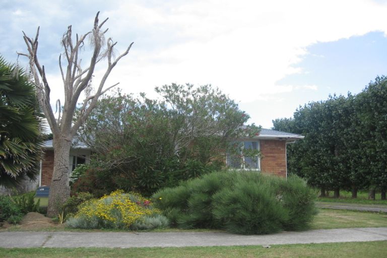 Photo of property in 36 Seddon Street, Te Puke, 3119