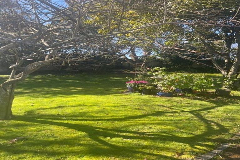 Photo of property in 53 Anglesea Street, Hamilton Central, Hamilton, 3204