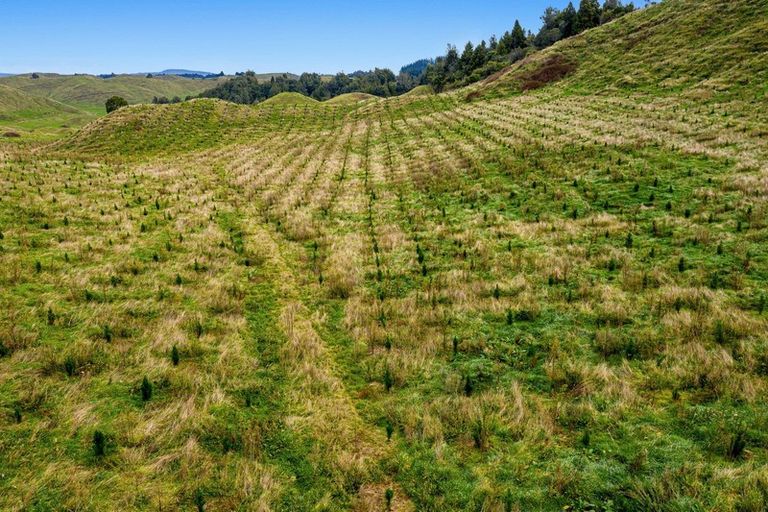 Photo of property in 31 Tarver Lane, Pikowai, Whakatane, 3194