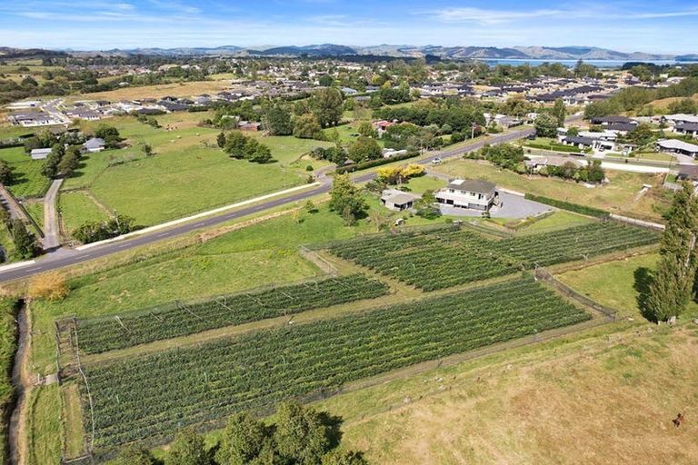 Photo of property in 126 Travers Road, Te Kauwhata, 3782