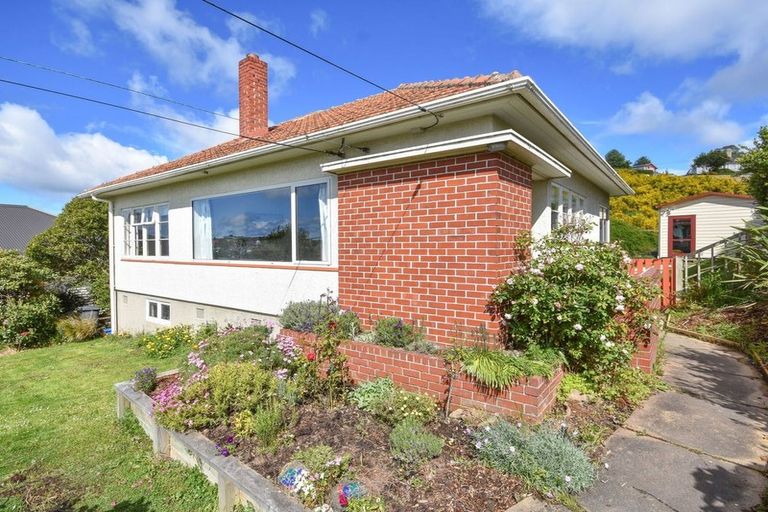 Photo of property in 115 Chapman Street, Wakari, Dunedin, 9010