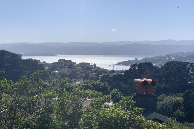 Photo of property in 46 Mount Pleasant Road, Aro Valley, Wellington, 6012