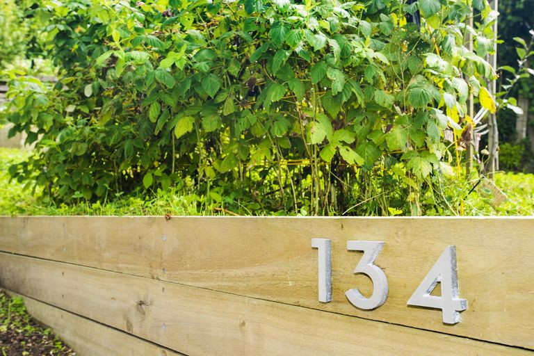 Photo of property in 134 Ballance Street, Whataupoko, Gisborne, 4010