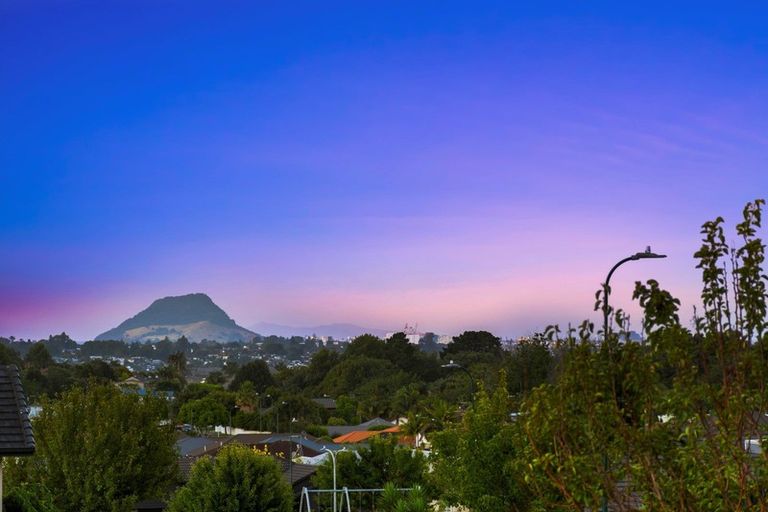 Photo of property in 33 Mervyn Place, Ohauiti, Tauranga, 3112