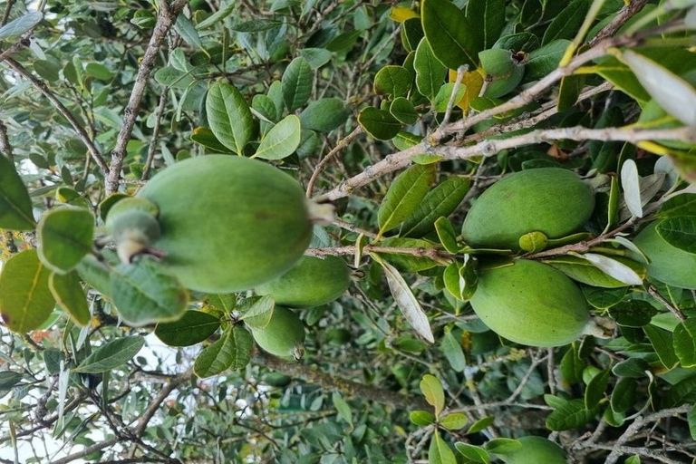 Photo of property in 143 Torquay Street, Kaikoura, 7300