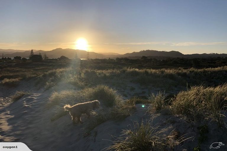 Photo of property in 78 Bowentown Boulevard, Bowentown, Katikati, 3177