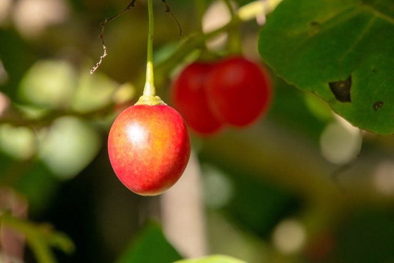 Photo of property in 664 State Highway 2, Tahawai, Katikati, 3170