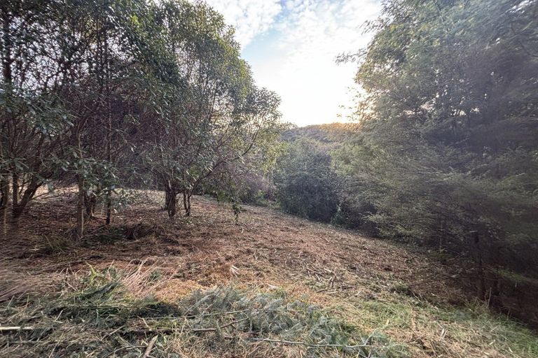 Photo of property in 40 Saddleview Place, Fairfield, Dunedin, 9076