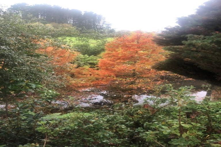 Photo of property in 22 Phillips Road, Motu, Te Karaka, 4092