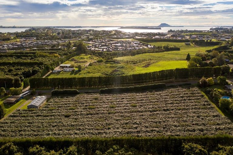 Photo of property in 39 Prole Road, Omokoroa, Tauranga, 3172