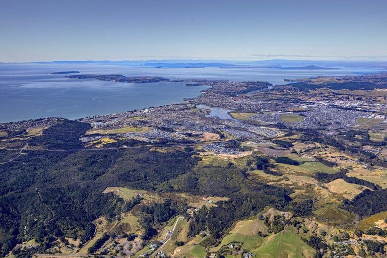 Photo of property in 226 Grand Drive, Orewa, 0931