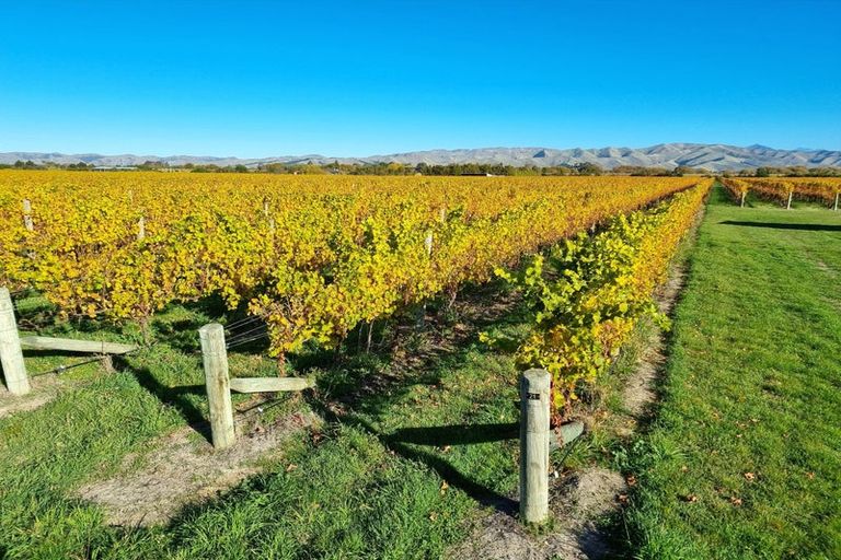 Photo of property in 344 Jones Road, Grovetown, Blenheim, 7273