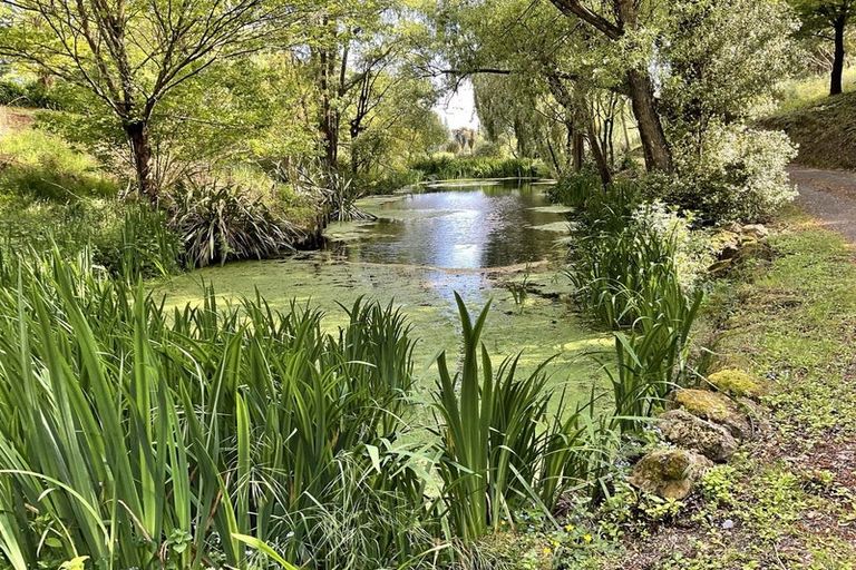 Photo of property in 159 Masterton Stronvar Road, Te Ore Ore, Masterton, 5886