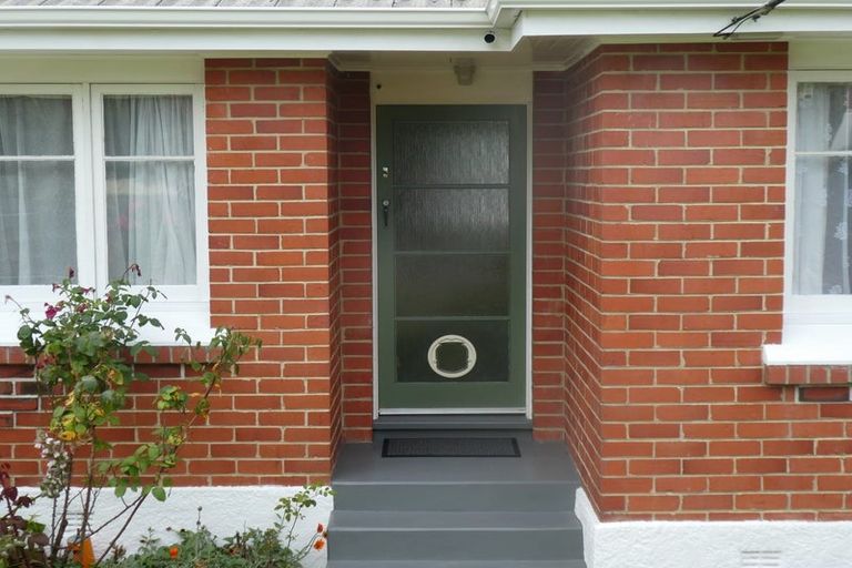 Photo of property in 207 Helensburgh Road, Wakari, Dunedin, 9010