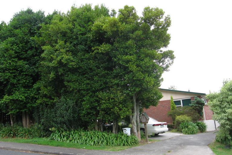 Photo of property in 8 Aplin Place, Birkdale, Auckland, 0626
