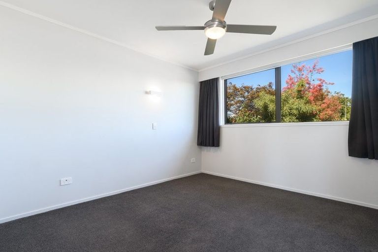 Photo of property in 17 Hairini Street, Hairini, Tauranga, 3112